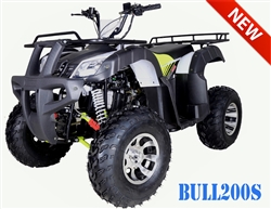 Tao Motor BULL 200S King Size Utility ATV (Upgraded from RIHNO250) Automatic with Reverse, 23