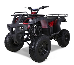 Tao Motor 150cc FULL SIZE Utility ATV Automatic with Reverse & LED Headlight ATV-150D (BULL 150)