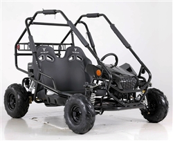 TAO TAO Baja Springer 200cc Go Kart, Automatic with Reverse, Pull Start, Adjustable double bench seat with safety harnesses, Adjustable shocks, Disc brake,  Speed limiter