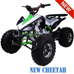 Tao Tao "New Cheetah" 125cc ATV Automatic with Reverse, Upgraded Bumper,Rack,Muffler,Suspensions, Remote Stop, 19"/18" Big Tires 8" Chrome Wheels, LED light