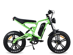 EBA216 500W Electric Bike, 48V 12Ah Lithium-ion Battery, Aluminum Frame, 20" Alloy Wheels, Kenda Tires, Dual Disc Brakes, 7 Speed, 5-level Pedal Assist, LED Lights, LCD Display, Smart Charger,  35 miles per charge, Top speed 30 mph!