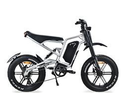 EBA216 980W Electric Bike, 60V 20Ah Lithium-ion Battery, Aluminum Frame, 20" Alloy Wheels, Kenda Tires, Dual Disc Brakes, 7 Speed, 5-level Pedal Assist, LED Lights, LCD Display, Smart Charger, 45 miles per charge, top speed 42 mph!