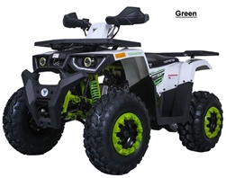 Tao Tao "Raptor" 200cc ATV Automatic with Reverse, Upgraded Suspension, Dual Disc Brakes, Large Digital Display, Large Front Bumper and Rear Cargo Rack, 23" Front tire, 22" Extra wide rear tire, LED headlights, Ergonomic Hand Shifter