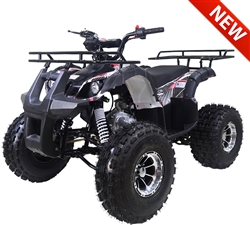 Tao Tao "New TFORCE" 125cc ATV Automatic with Reverse, Upgraded Frame,Wheels,Muffler,Suspensions, Remote Stop, 19"/18" Big Tires 8" Chrome Wheels, LED light