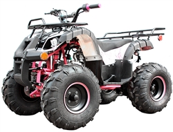 ICE BEAR "Big Hunter" 125cc Utility ATV w/ Matching Colored Frame, Wheels & Handlebar grips! Automatic with Reverse, LED Light, Remote Stop, 19" Big Tires, PAH125-8E