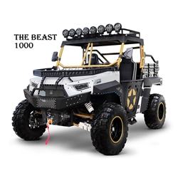 100% Assembled BMS "THE BEAST" 1000cc UTV, VTWIN EFI Engine, Electronic Power Steering, 81 HP,  2WD/4WD w/ Lock Differential, Automatic CVT P/R/N/L/H, 4 Wheel Disc Brakes, Front electric winch, Rear tow hitch, LED and Roof Lights