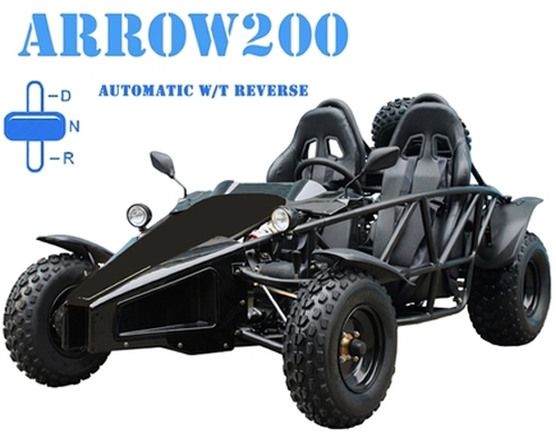 Tao Tao Arrow 200 Go Kart 200cc Buggy 2 Seater Racing Style With