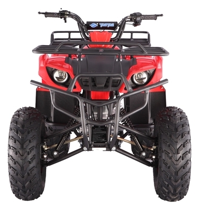 TaoTao 250cc Air Cooled Full Size Utility ATV 4 Speed+Reverse ATV-250D