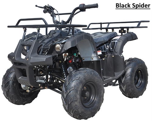 ICE BEAR 125cc Youth Quad ATV Automatic with Reverse, Remote Kill, 16 ...